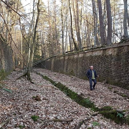 Chambre Avec Grand Lit Soultz-sous-Forets Exterior photo
